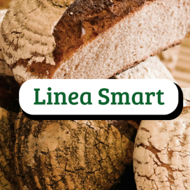 LINEA SMART